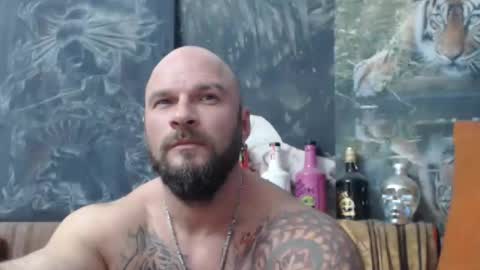 viking online show from 10.12.25