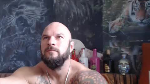 viking online show from 10.27.25