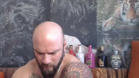 viking online show from 11.24.25