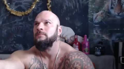 viking online show from 02.01.26