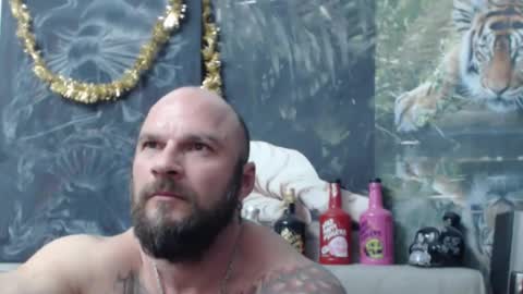 viking online show from 03.17.26