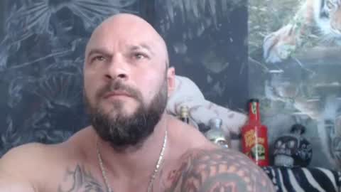 viking online show from 06.13.26