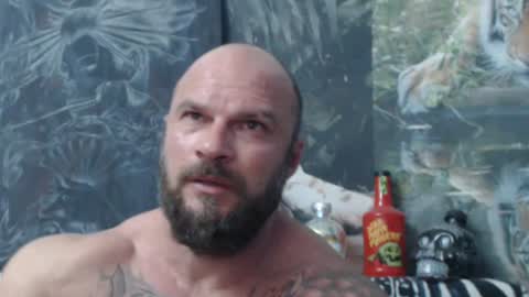 viking online show from 06.21.26