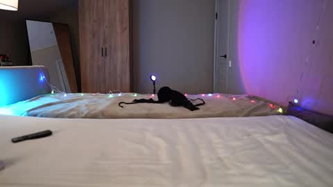 Snapshot of vikkilustfull chatting on 12.21.25 VIKKI online show from 12.21.25