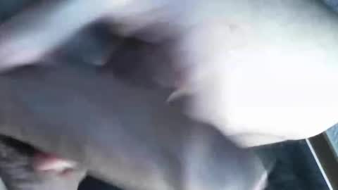 Snapshot of viktorklubb chatting on 03.08.25 online show from 03.08.25