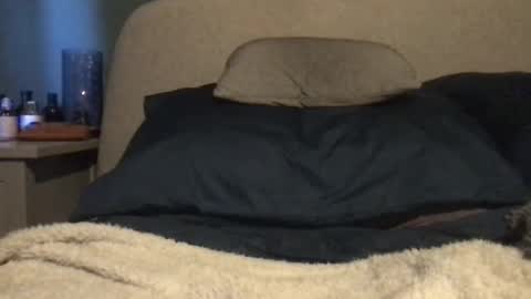 Snapshot of vinny440 chatting on 03.03.25 Vinny online show from 03.03.25