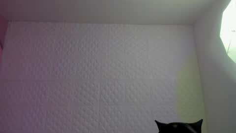     online show from 05.04.26