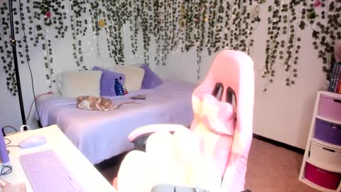 Violeta online show from 10.10.25