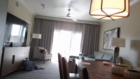 Violet Hooper online show from 01.12.26