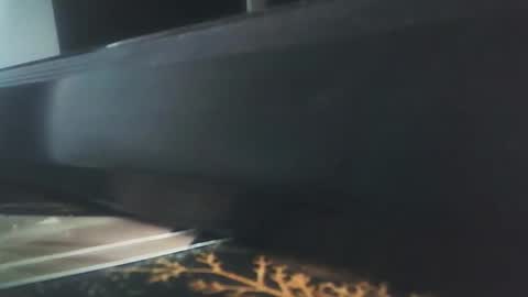 Snapshot of vip_90_daniele chatting on 12.17.25 vip_90_daniele online show from 12.17.25