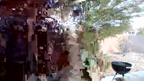 Omoje Ultra Mega online show from 04.26.26