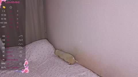 Snapshot of vitterrick chatting on 11.25.25 vitterrick online show from 11.25.25