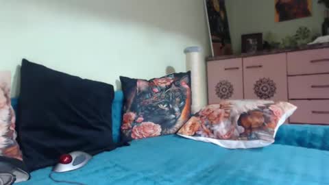 Viva online show from 03.11.25