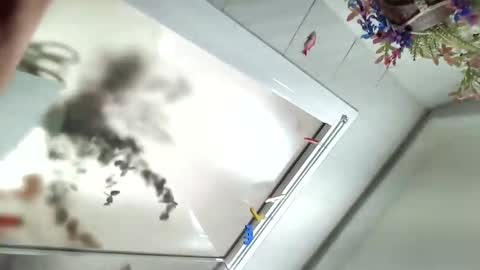 Viv online show from 12.06.24