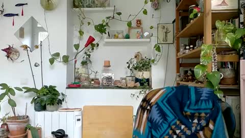 Viv online show from 01.06.25