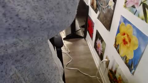 Vixen Fyre online show from 12.12.24