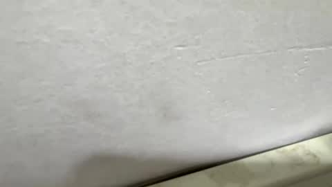 vmontel88 online show from 03.17.26