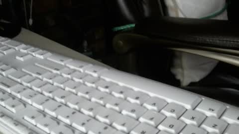 vnpg92 online show from 12.13.25