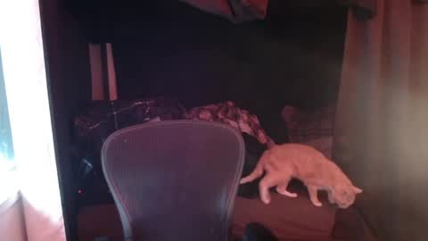 Rev online show from 04.27.26