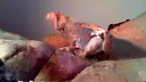 Snapshot of vukavuka99 chatting on 12.16.24 vukavuka99 online show from 12.16.24