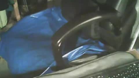 waaaooow online show from 11.11.25