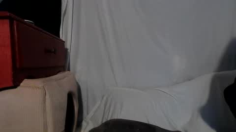 Rose online show from 12.13.24