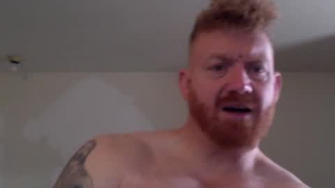 wadonis online show from 02.08.25