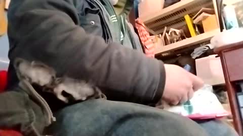 waffywaff77 online show from 01.12.25