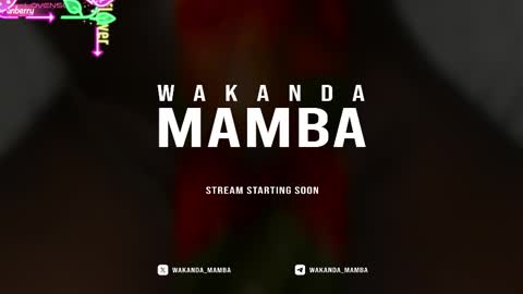 Snapshot of wakanda_mamba chatting on 11.17.25 Wakanda Mamba online show from 11.17.25