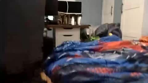 Snapshot of wakarimashitaz chatting on 12.03.25 Wakarimashita01 online show from 12.03.25