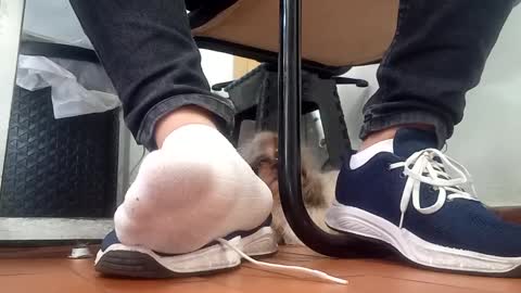 Snapshot of waltherfeet_ chatting on 09.08.25 WaltherFeet online show from 09.08.25