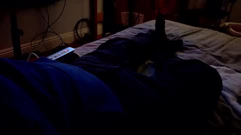 I love the ol in-n-out  online show from 03.20.26