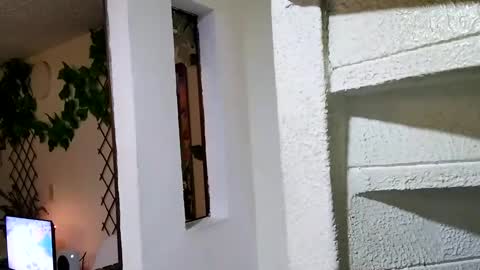 Snapshot of waningrosee chatting on 01.04.25 Waningrose Lu online show from 01.04.25