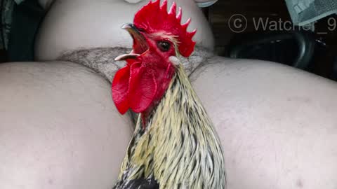 classified online show from 12.25.24