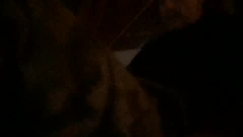 Snapshot of watchinggold chatting on 07.22.26 watchinggold online show from 07.22.26