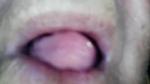 wayne1311 online show from 01.13.26