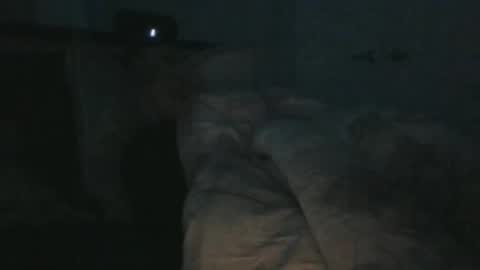 Snapshot of weatheredvoid chatting on 01.31.25 WeatheredVoid online show from 01.31.25