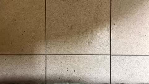 Snapshot of webchatter99 chatting on 01.02.25 webchatter99 online show from 01.02.25