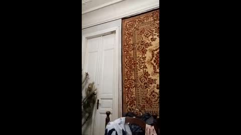 Snapshot of webgirl2 chatting on 02.26.25 Marina online show from 02.26.25