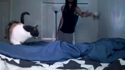 weedwacker43 online show from 12.26.24