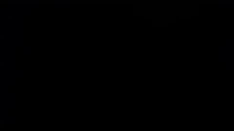 wellingtont online show from 09.28.25