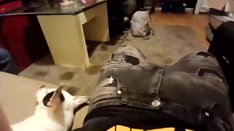 weloveeachothersrizz online show from 12.05.25