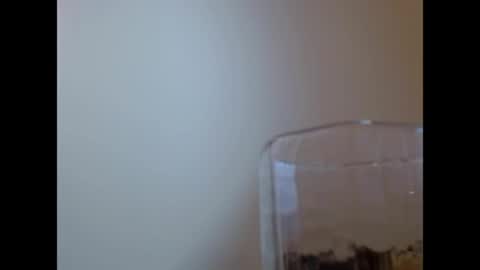 TaTis online show from 05.29.26