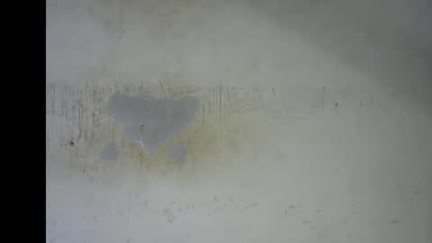 Snapshot of wet_pussy200 chatting on 01.12.26 Bella online show from 01.12.26