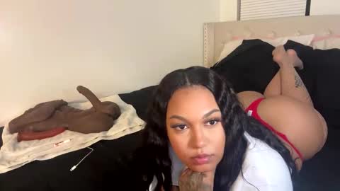 Snapshot of wetcreamerr chatting on 11.02.25 SheSquirts online show from 11.02.25