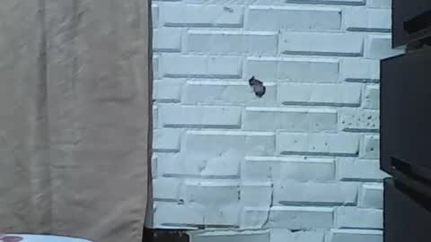 Snapshot of wettyhottie69 chatting on 02.03.26 wettyhottie69 online show from 02.03.26