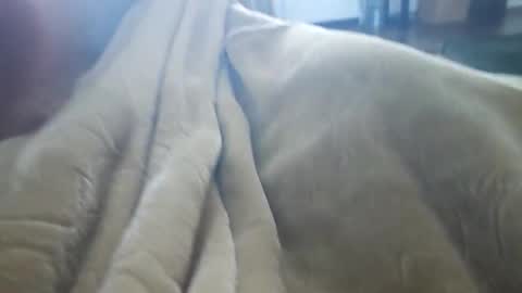 Snapshot of what_whaaat chatting on 11.03.25 what_whaaat online show from 11.03.25