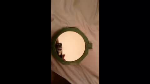 Snapshot of whetedoyouwantmetoputit chatting on 03.22.26 whetedoyouwantmetoputit online show from 03.22.26