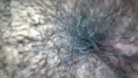 Snapshot of white_sexy_ chatting on 09.21.25 white_sexy_ online show from 09.21.25