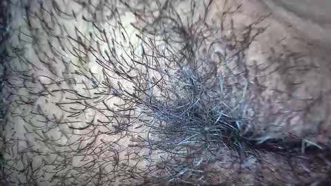 Snapshot of white_sexy_ chatting on 11.20.25 white_sexy_ online show from 11.20.25